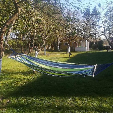 Pod Jablonia Villa Jezierzany ภายนอก รูปภาพ
